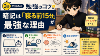 【3分で読める勉強のコツ】暗記は「寝る前15分」が最強な理由